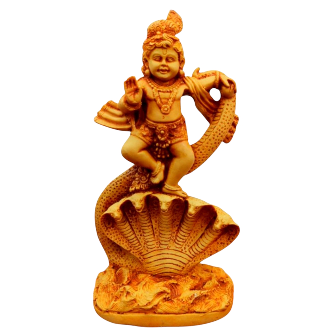 Inshot 20250808 090515353 (1)