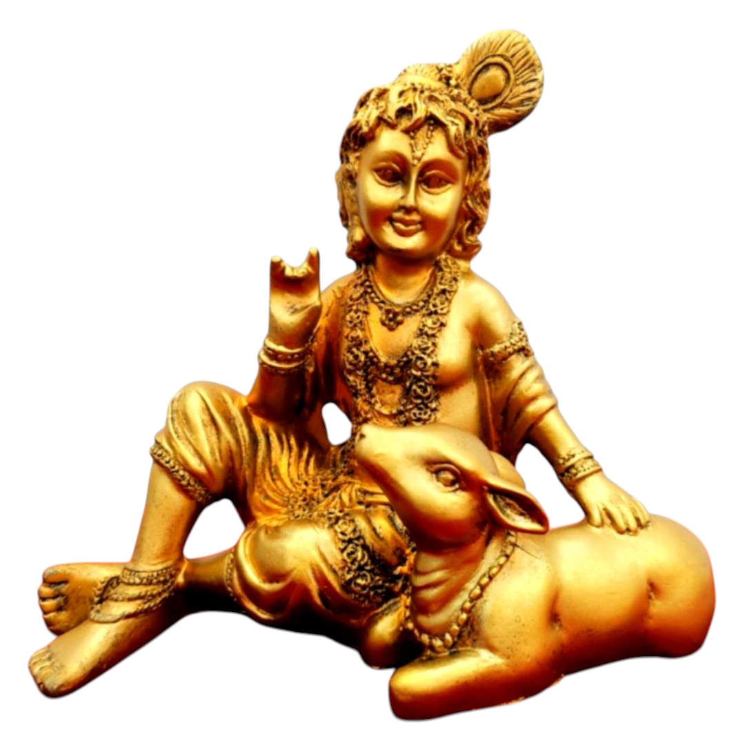 Inshot 20250808 141048637 (1)