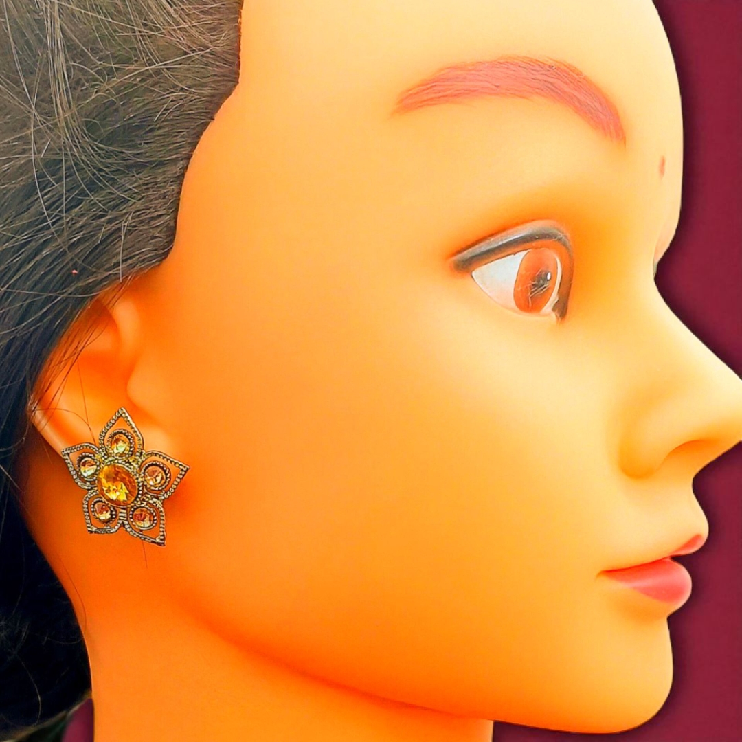 Inshot 20250818 113046737 (1)