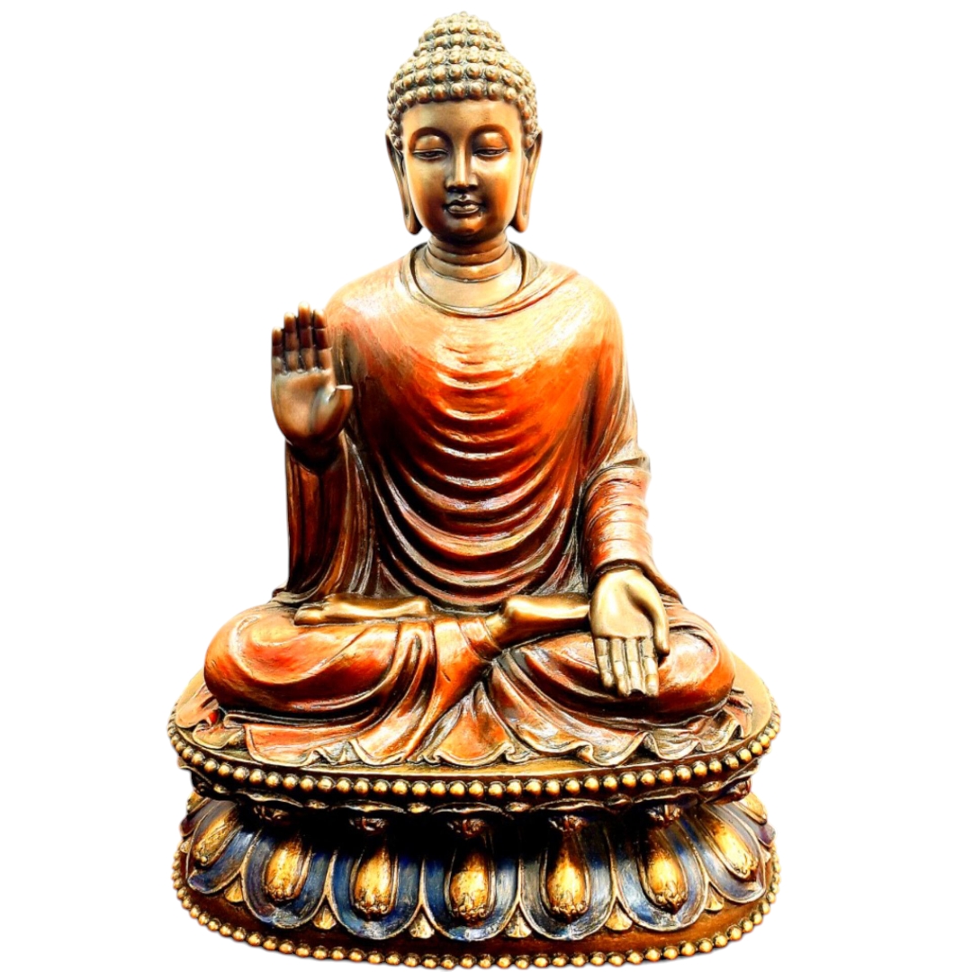 Inshot 20250805 124716880 (1)