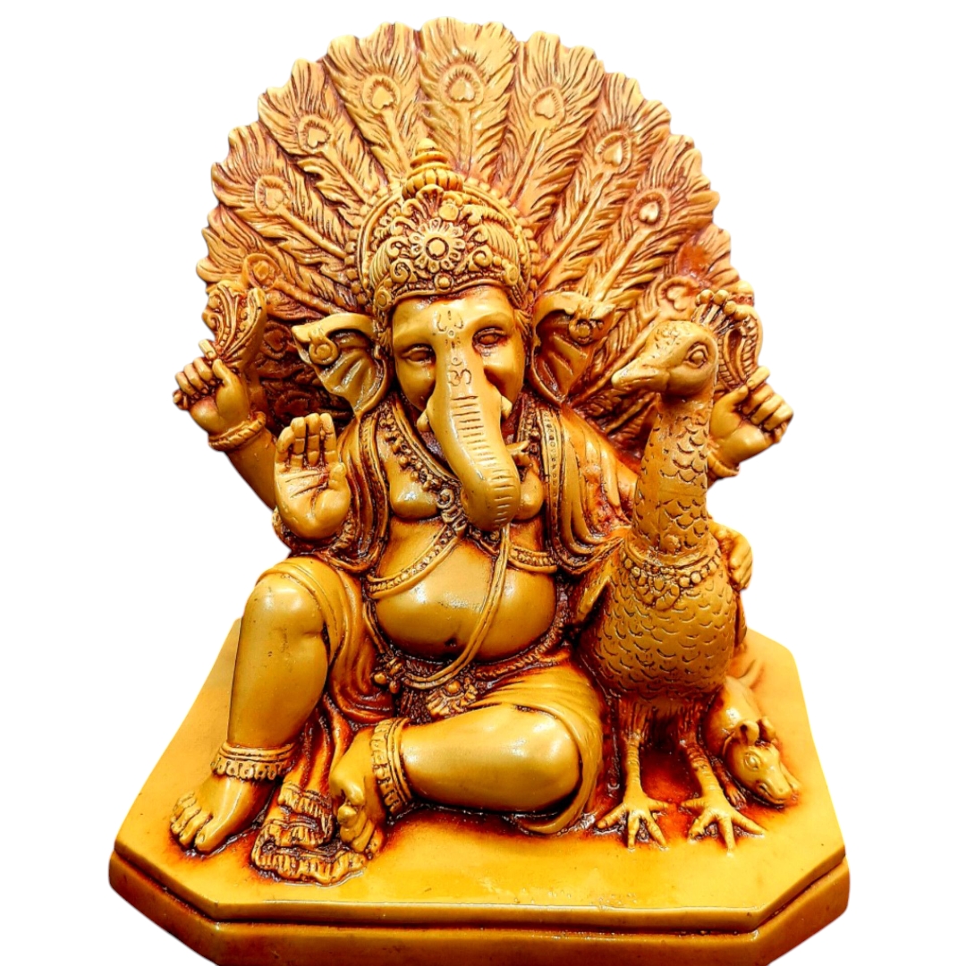 Inshot 20250805 153400271 (1)