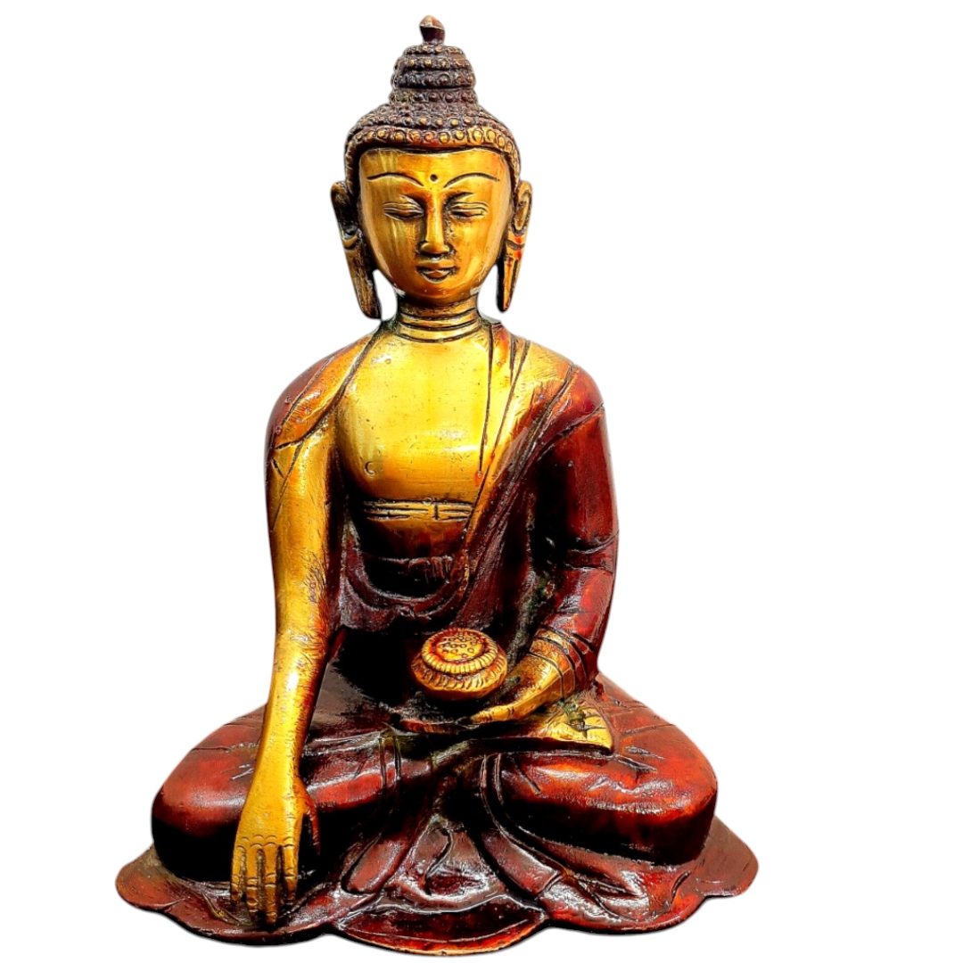 Inshot 20250805 154309266 (1)