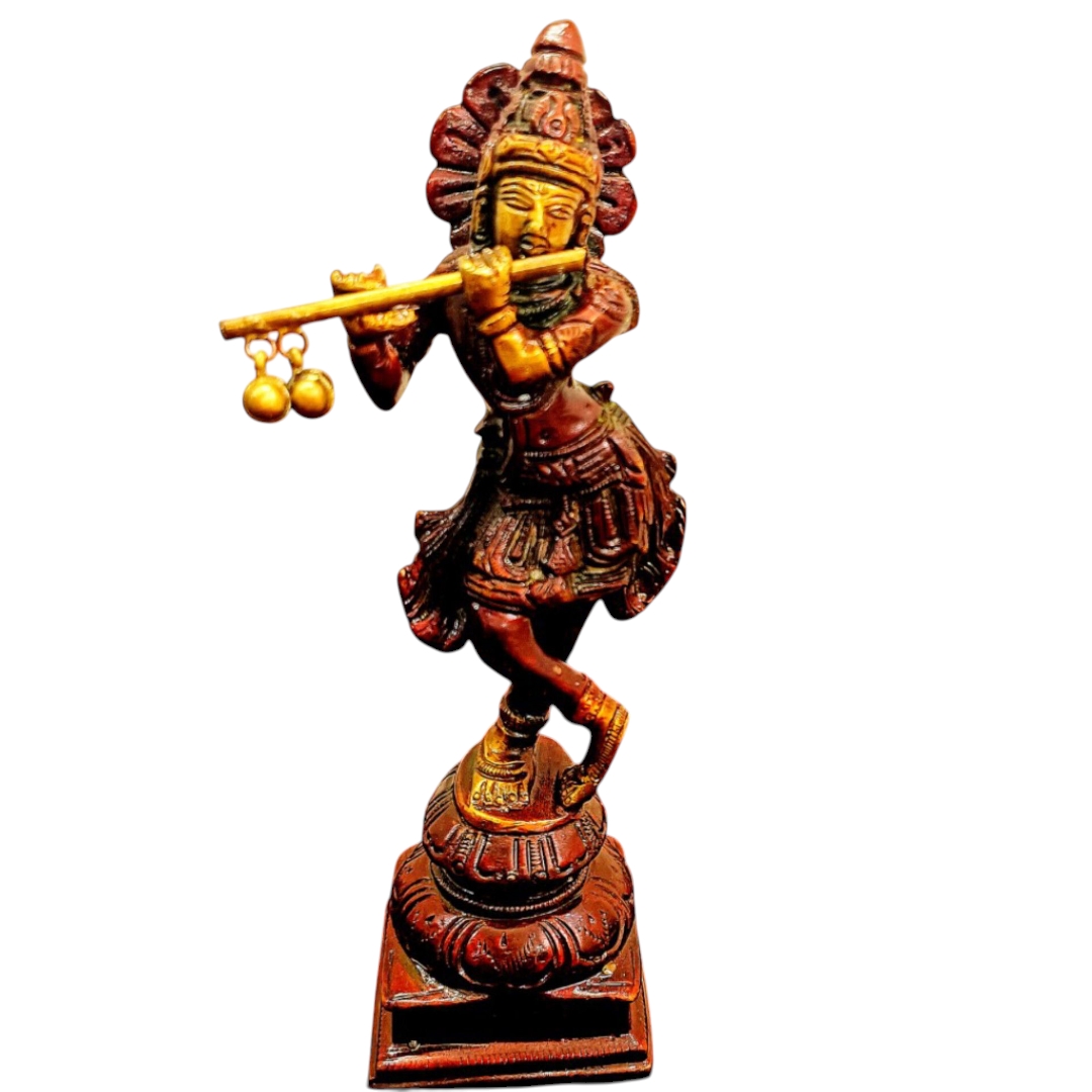 Inshot 20250805 155556567 (1)