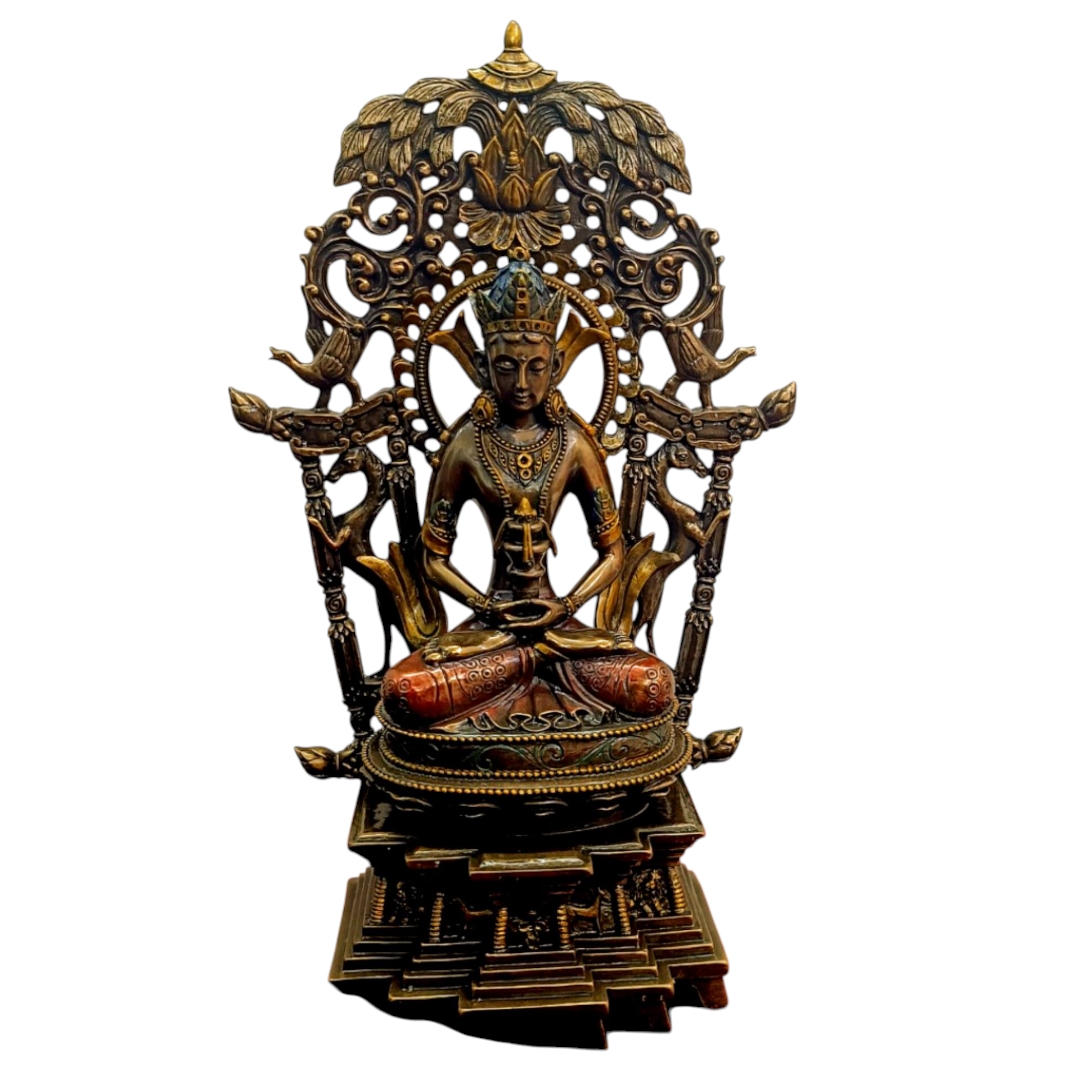 Inshot 20250805 192542230 (1)