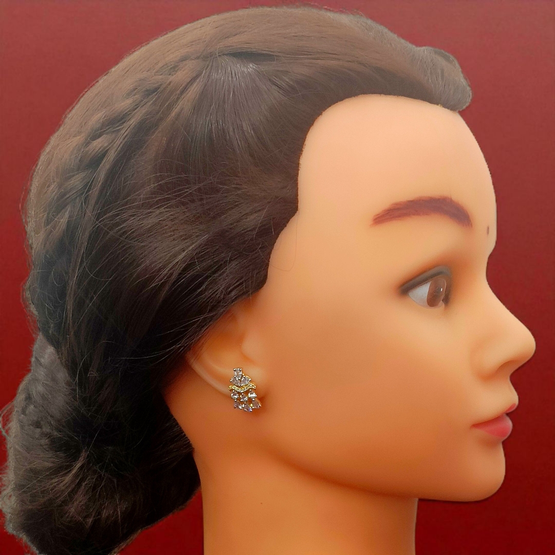 Inshot 20250818 195718933 (1)