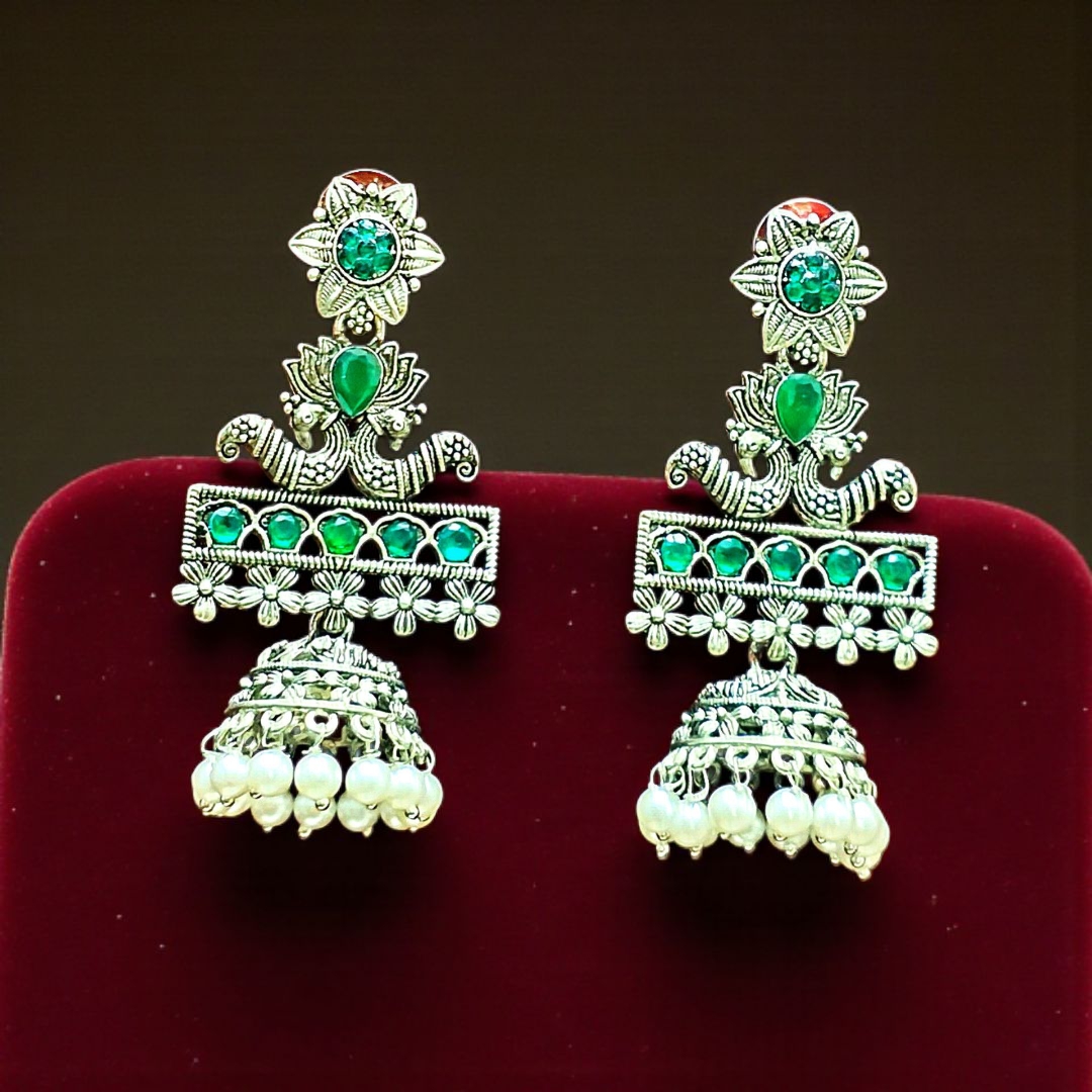 Inshot 20251030 131530096